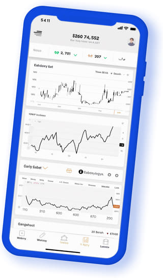 Pevna Uctarna digital web application on mobile device